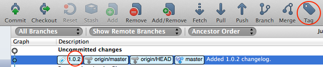 Tag versioning on SourceTree